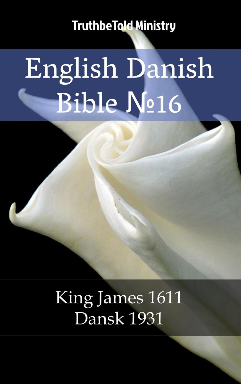 Big bigCover of English Danish Bible №16