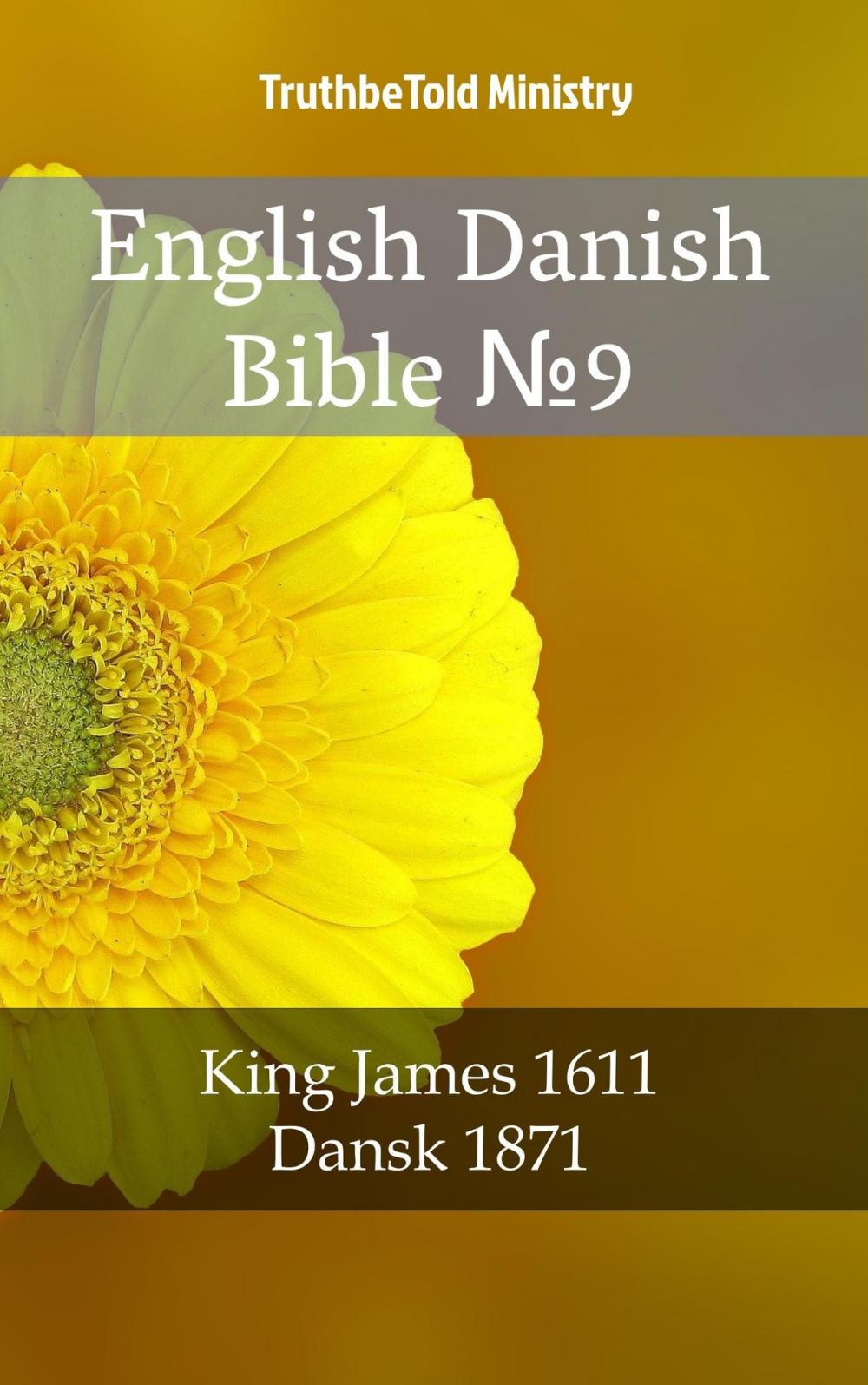 Big bigCover of English Danish Bible №9