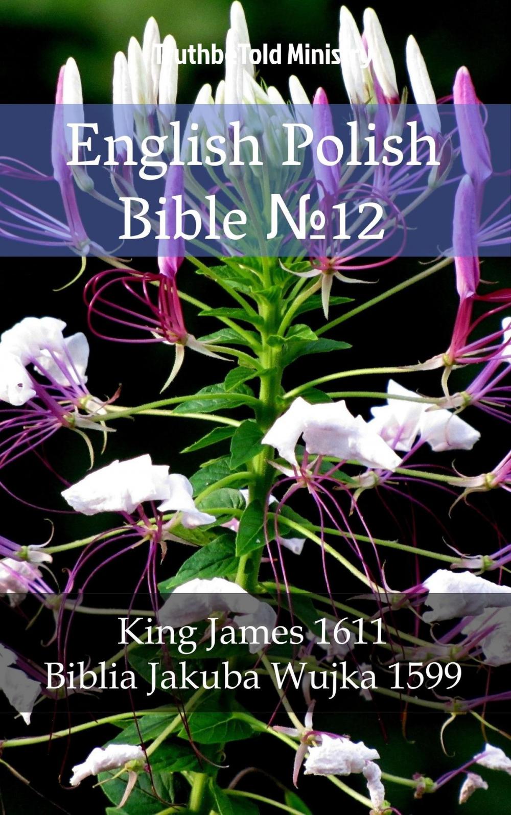 Big bigCover of English Polish Bible №12