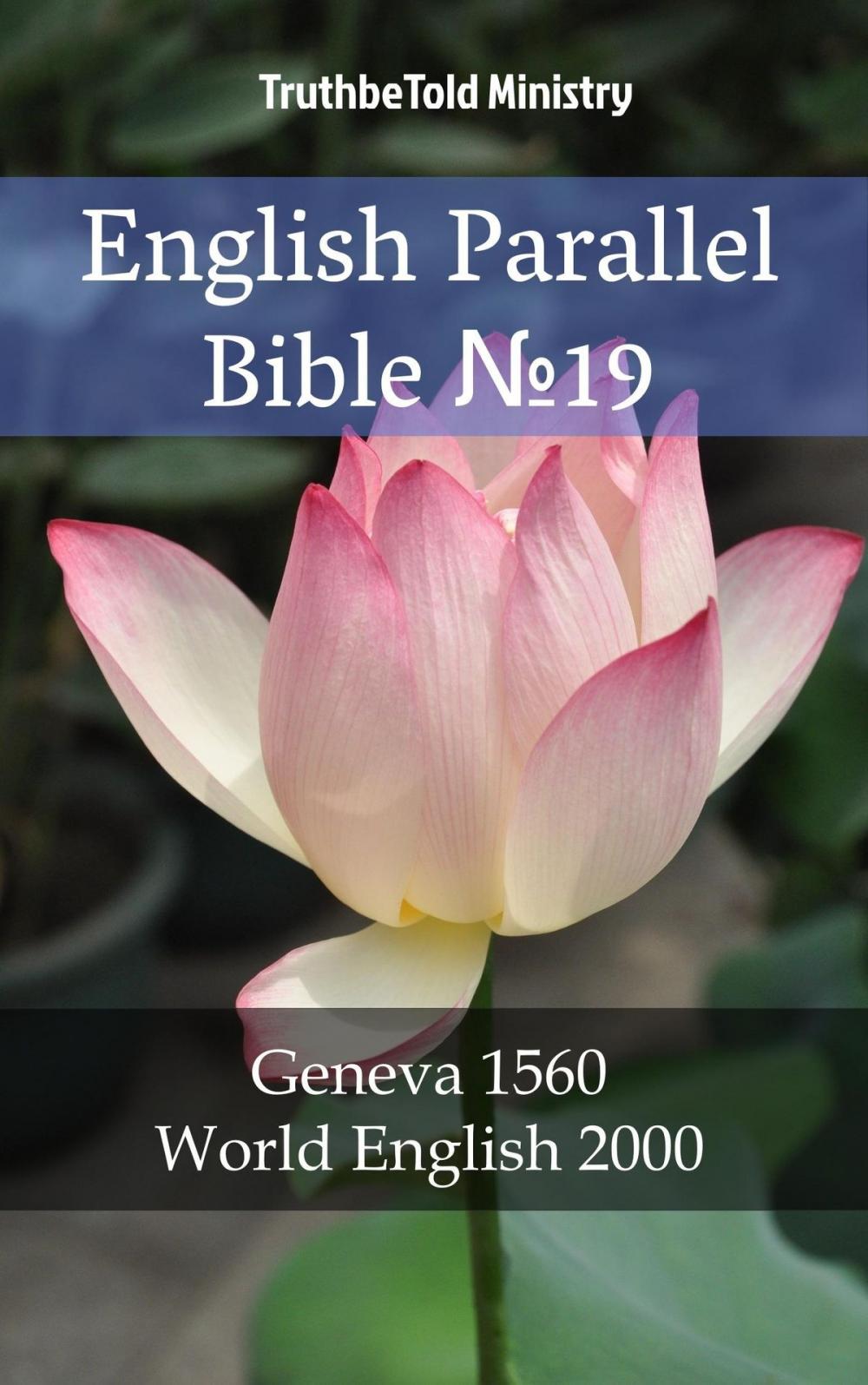 Big bigCover of English Parallel Bible №19