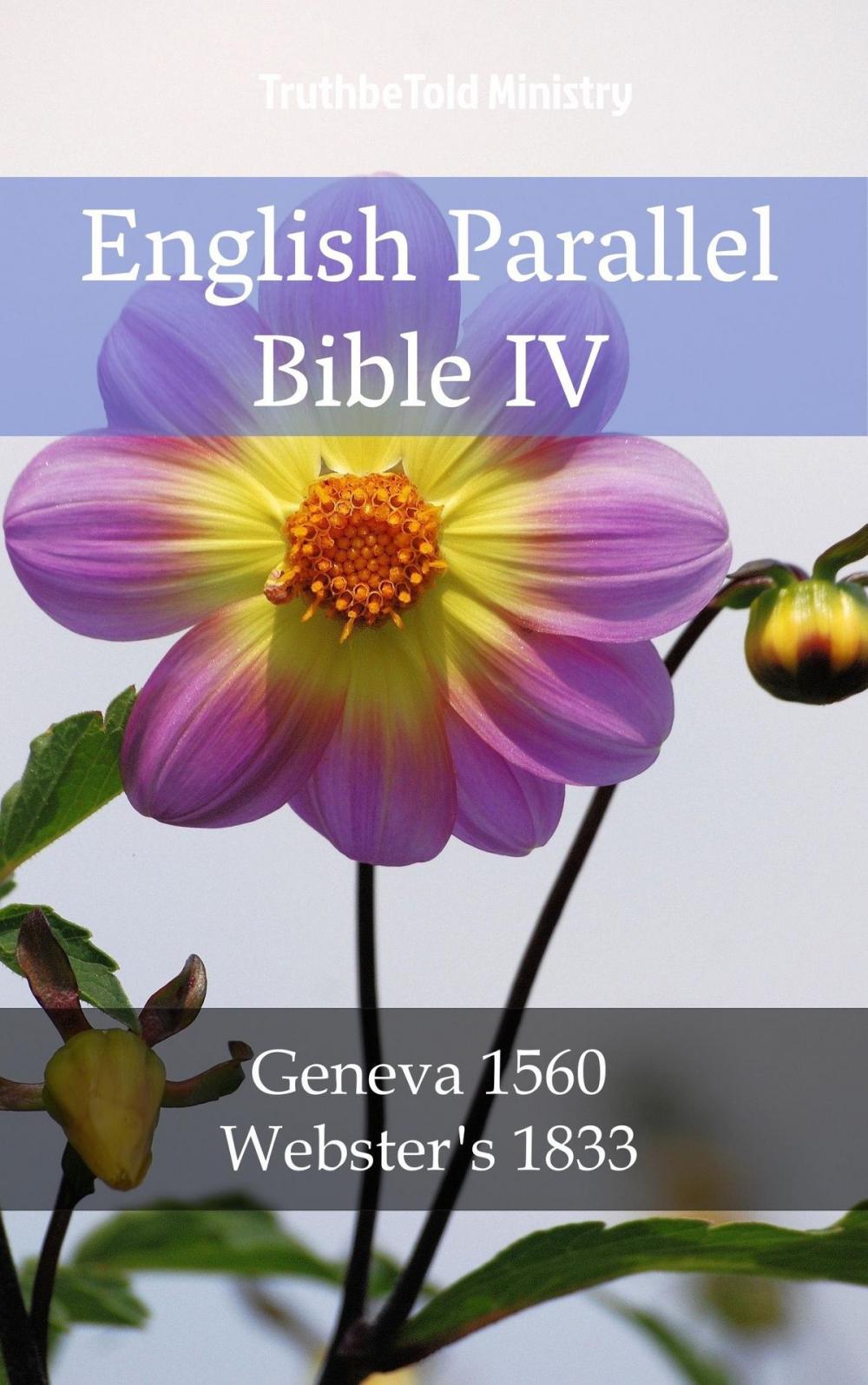 Big bigCover of English Parallel Bible IV