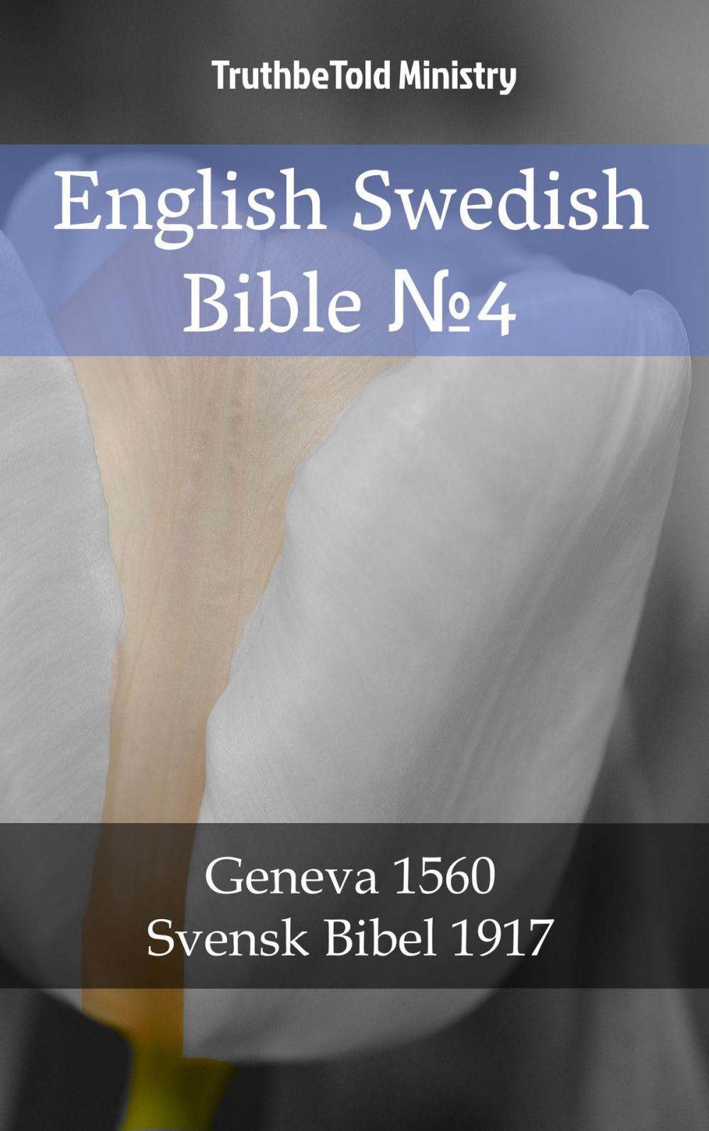 Big bigCover of English Swedish Bible №4