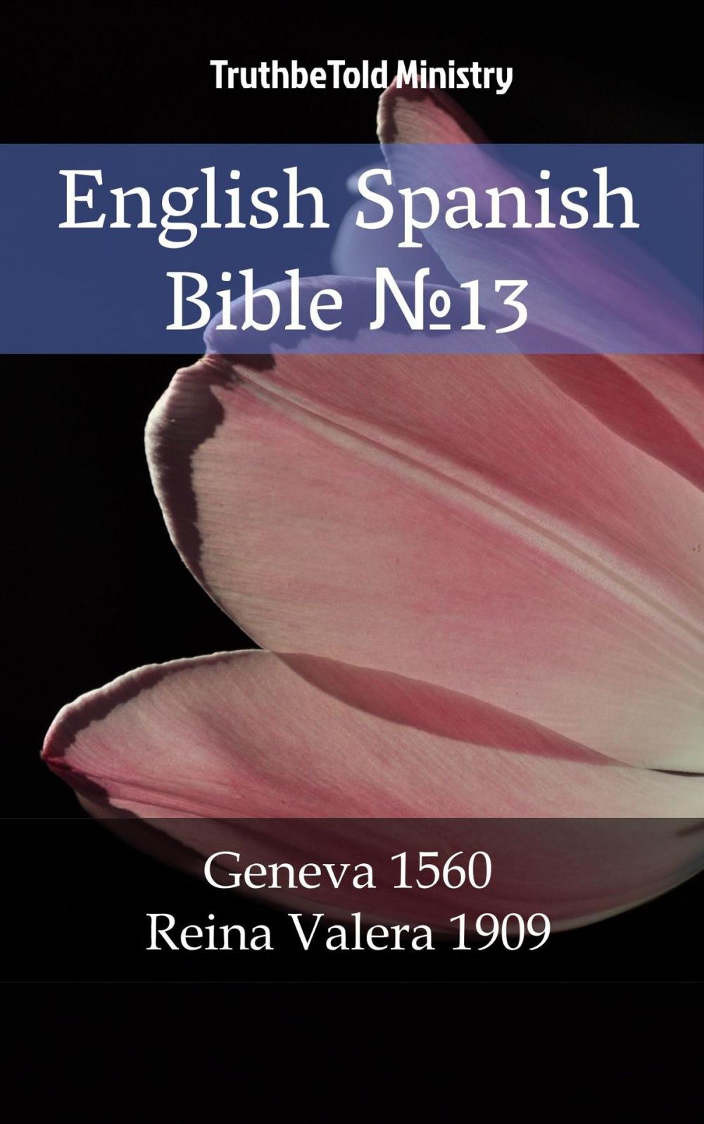 Big bigCover of English Spanish Bible №13