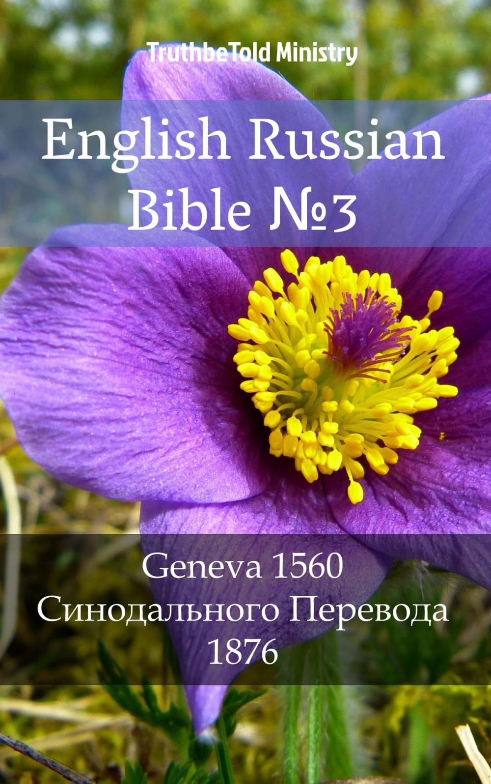 Big bigCover of English Russian Bible №3