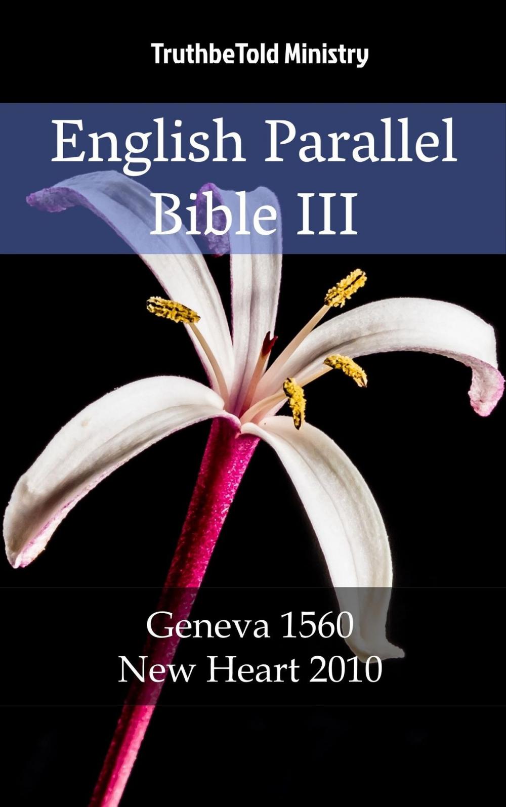 Big bigCover of English Parallel Bible III