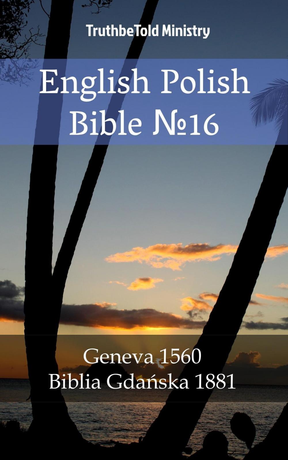 Big bigCover of English Polish Bible №16