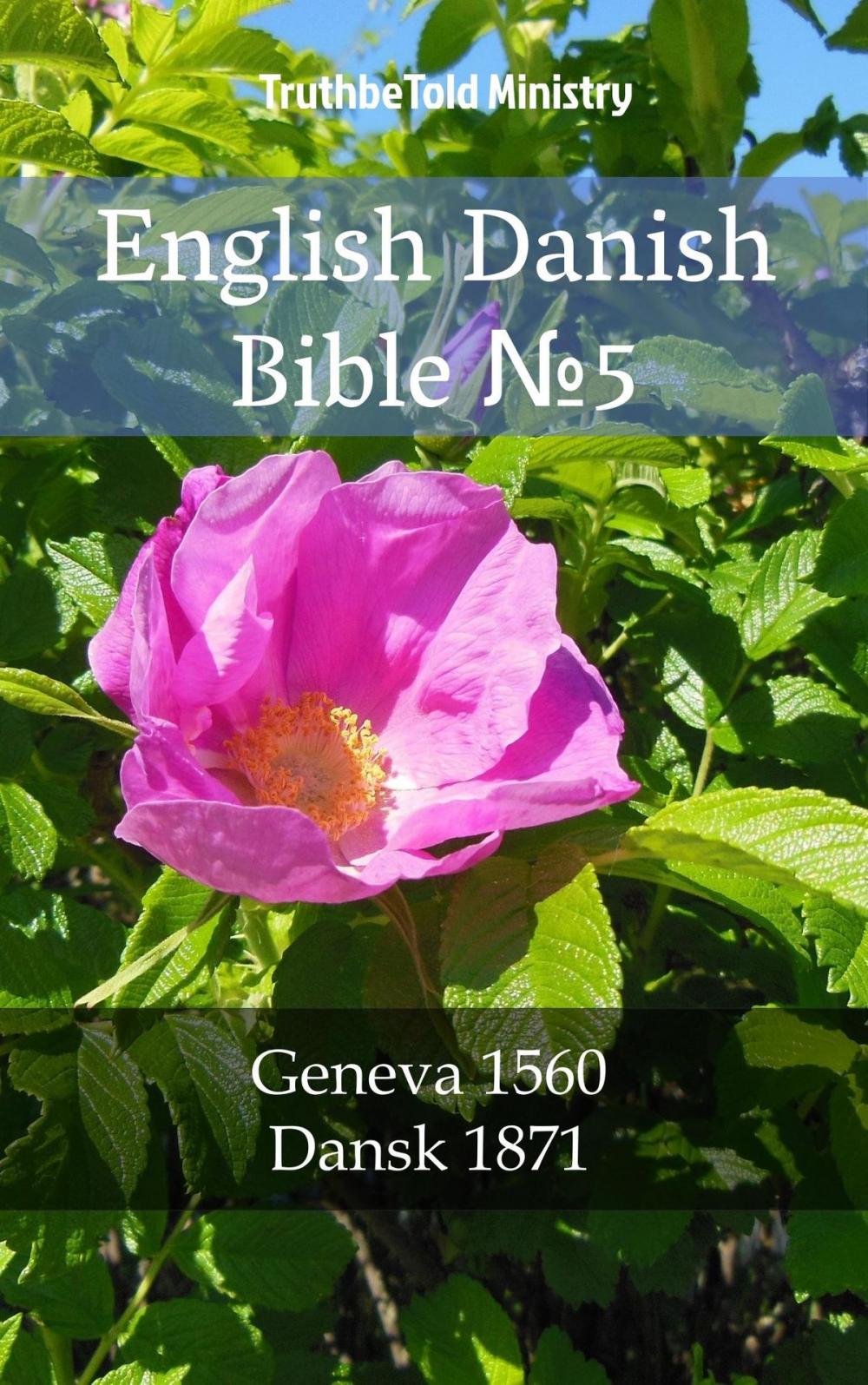 Big bigCover of English Danish Bible №5