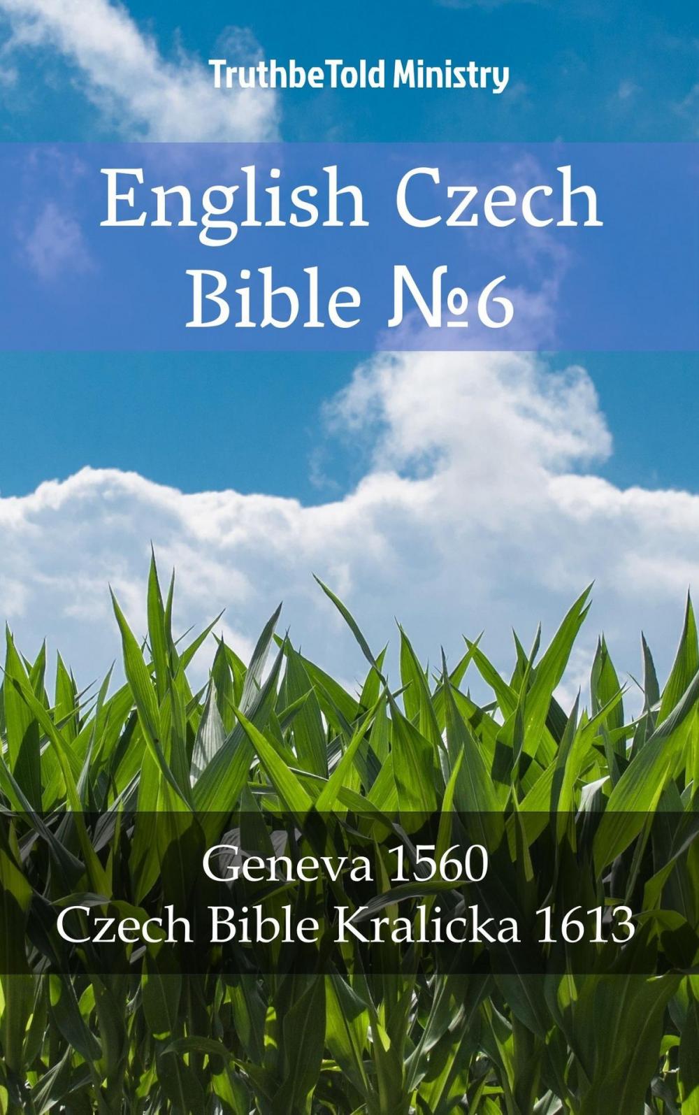 Big bigCover of English Czech Bible №6