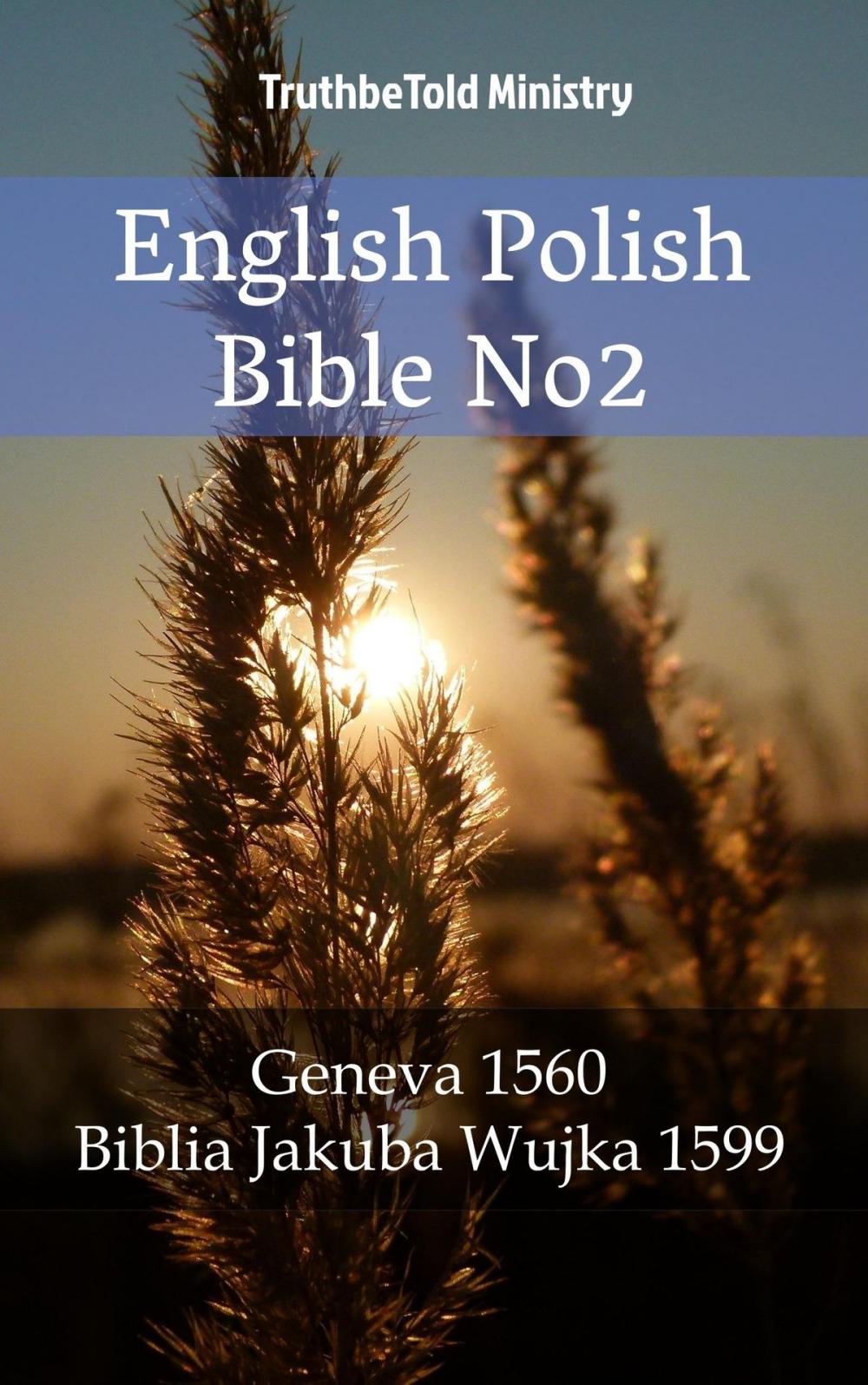 Big bigCover of English Polish Bible No2