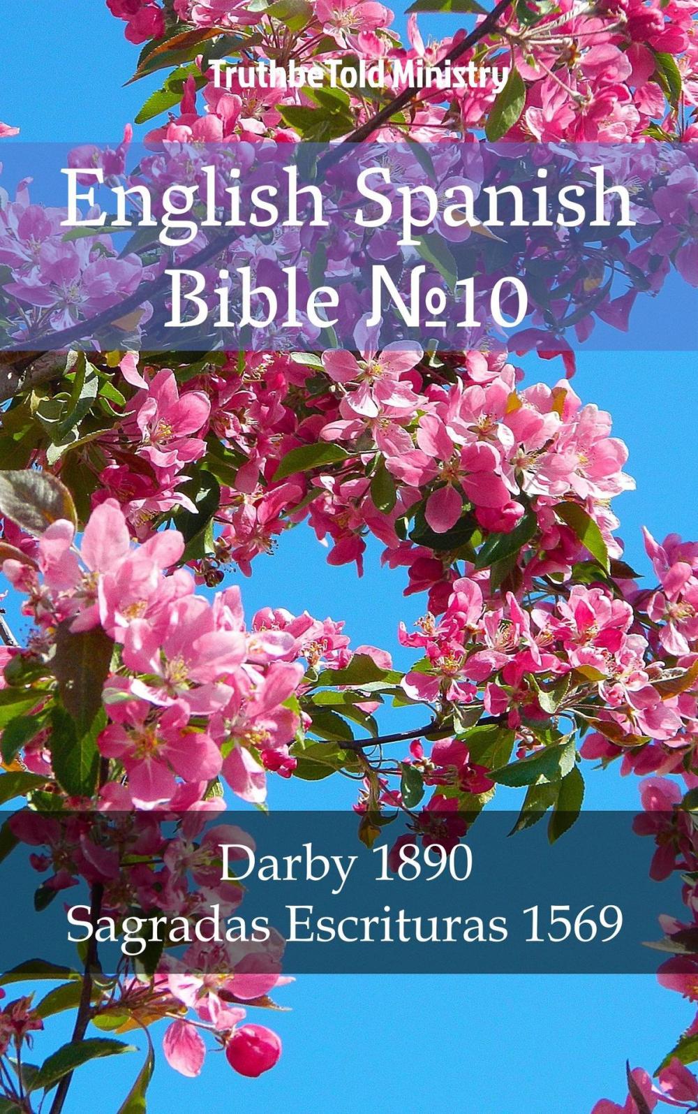 Big bigCover of English Spanish Bible №10