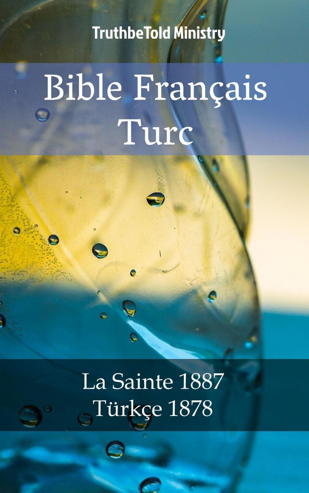 Big bigCover of Bible Français Turc