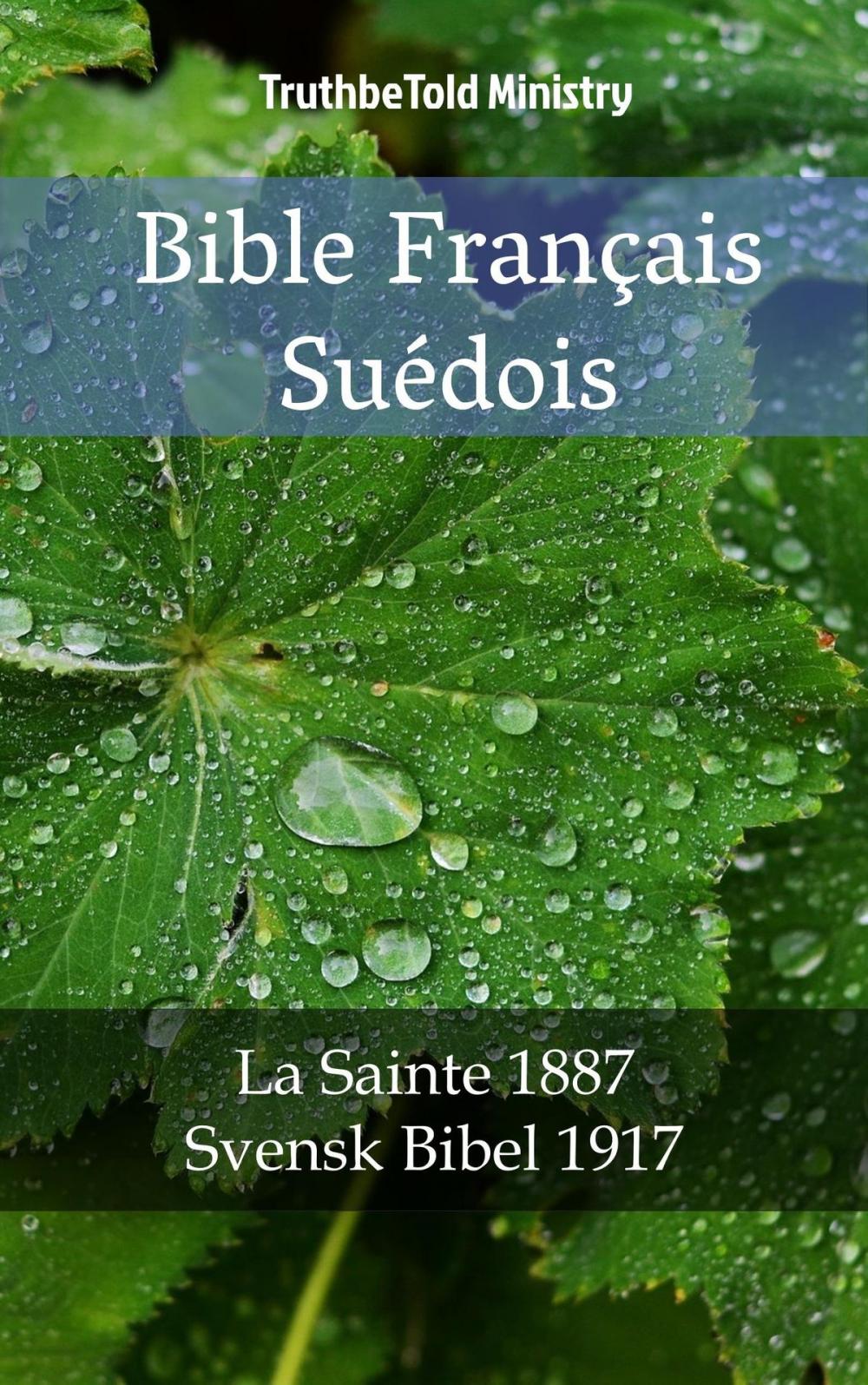 Big bigCover of Bible Français Suédois