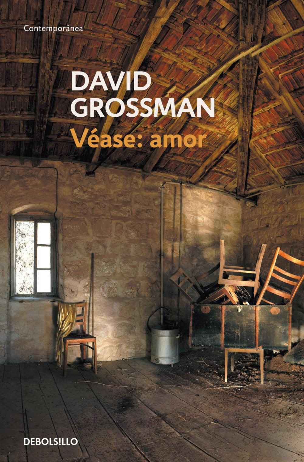 Big bigCover of Véase: amor