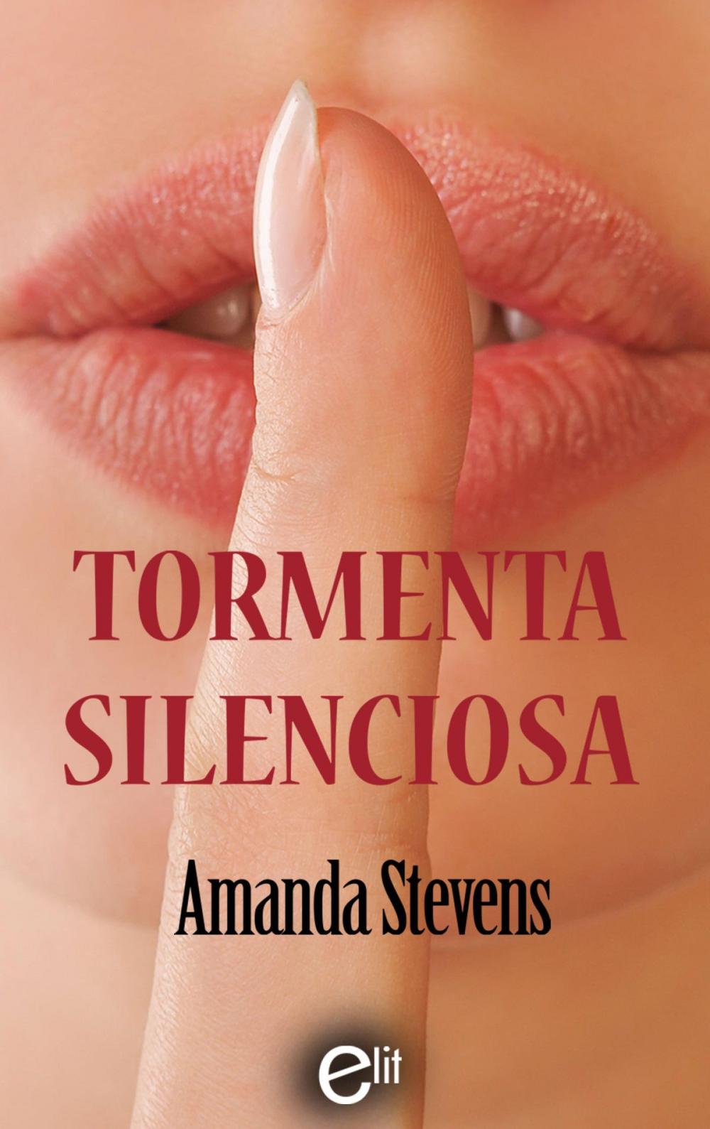 Big bigCover of Tormenta silenciosa