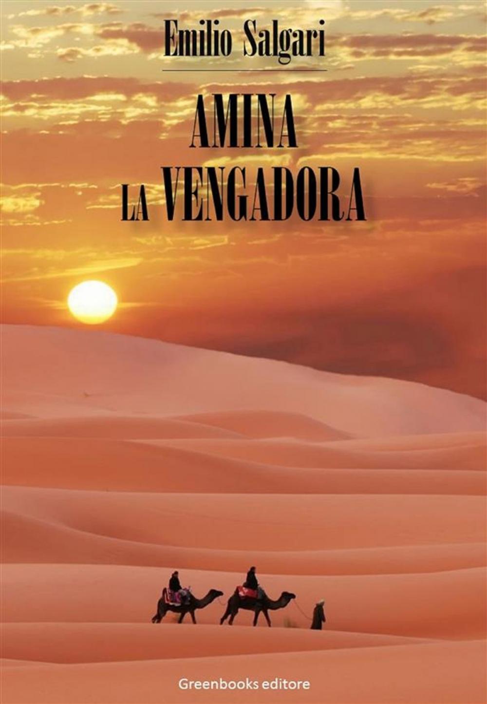 Big bigCover of Amina la vengadora