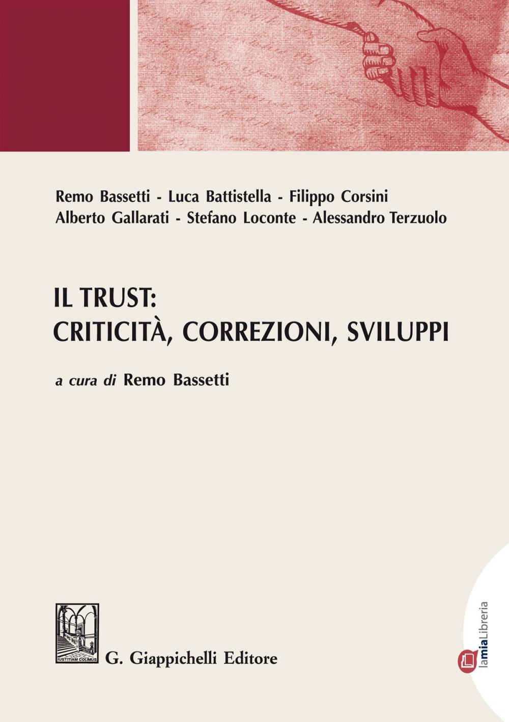 Big bigCover of Il Trust: criticità, correzioni, sviluppi