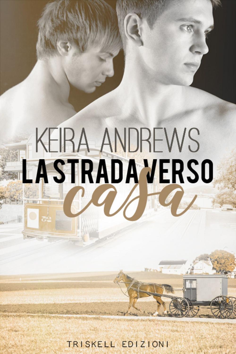 Big bigCover of La strada verso casa