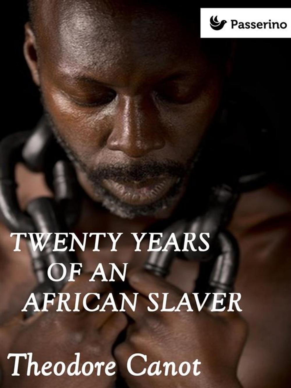 Big bigCover of Twenty years of an african slaver