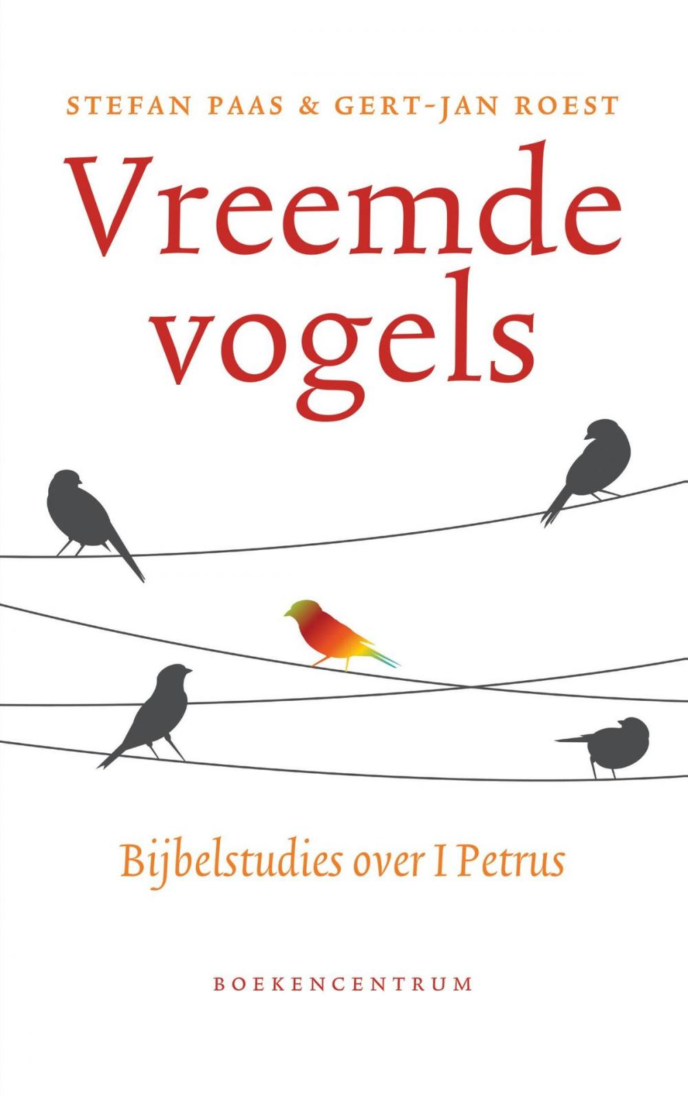 Big bigCover of Vreemde vogels