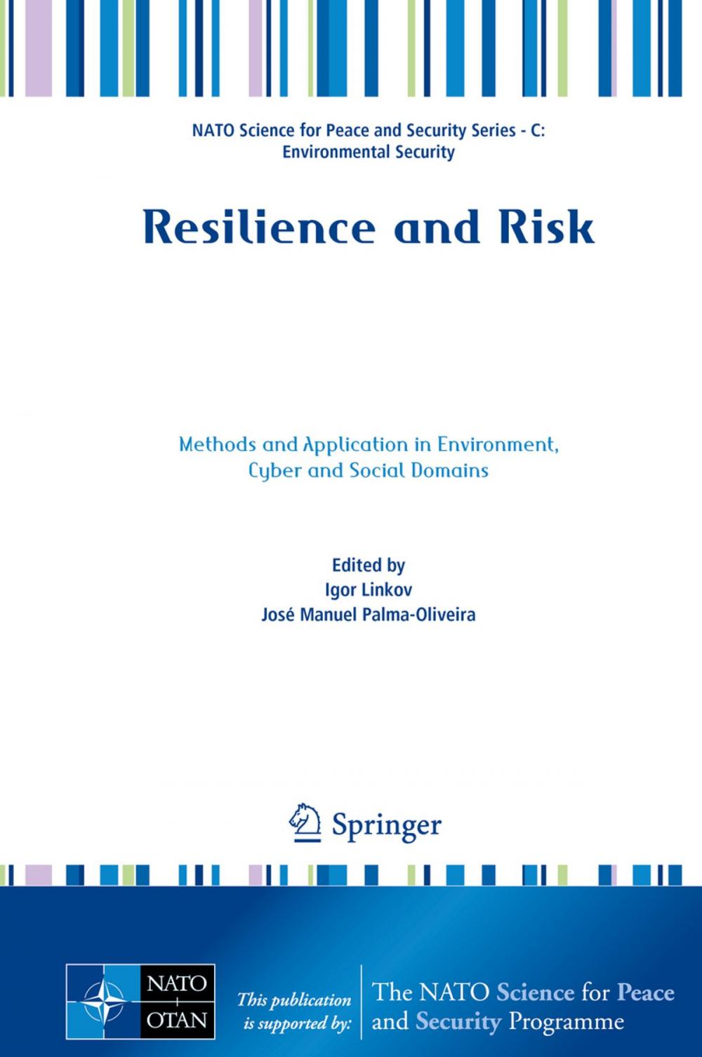 Big bigCover of Resilience and Risk