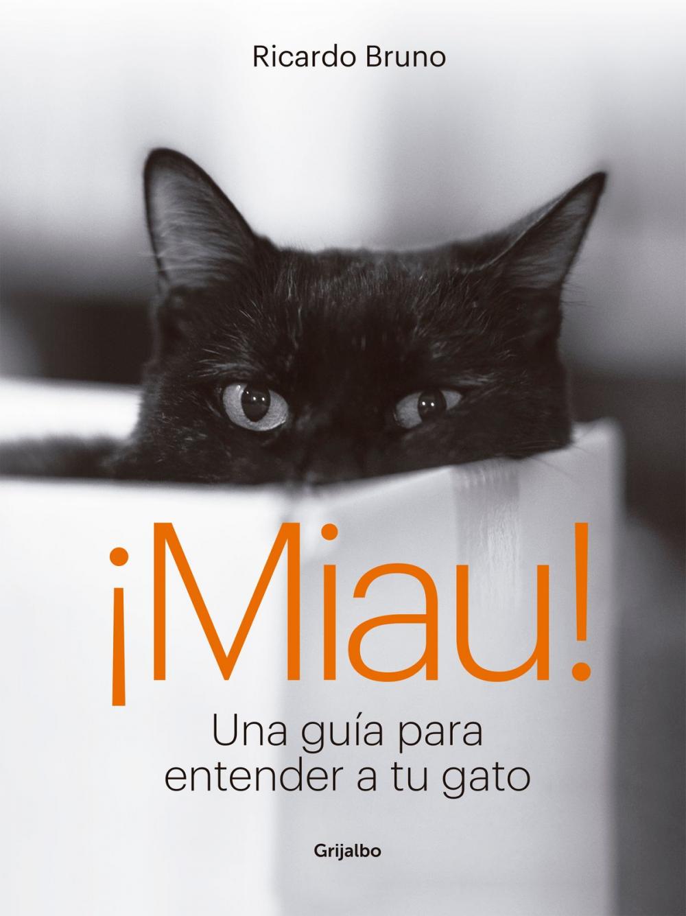 Big bigCover of ¡Miau!