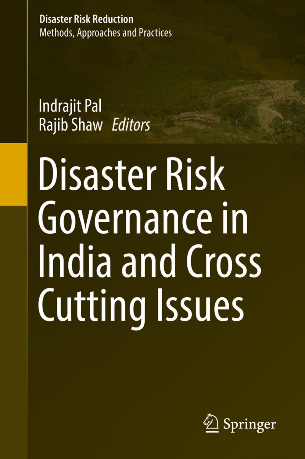 Big bigCover of Disaster Risk Governance in India and Cross Cutting Issues