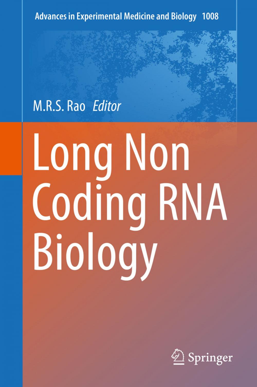 Big bigCover of Long Non Coding RNA Biology