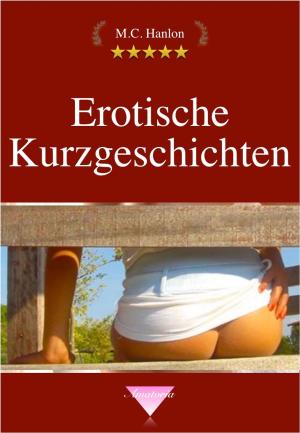 Cover of the book Erotische Kurzgeschichten by Philip Scott Wikel