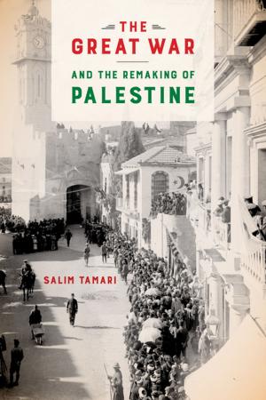 Cover of the book The Great War and the Remaking of Palestine by Daniel W. Park