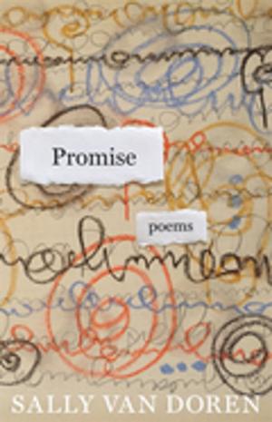 Cover of the book Promise by David Crawford