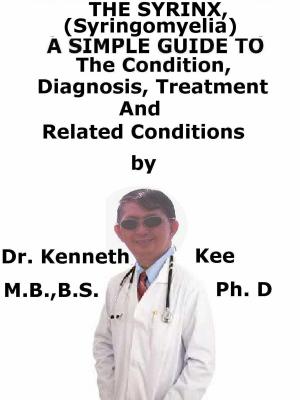 Cover of the book The Syrinx, (Syringomyelia) A Simple Guide To The Condition, Diagnosis, Treatment And Related Conditions by Kenneth Kee