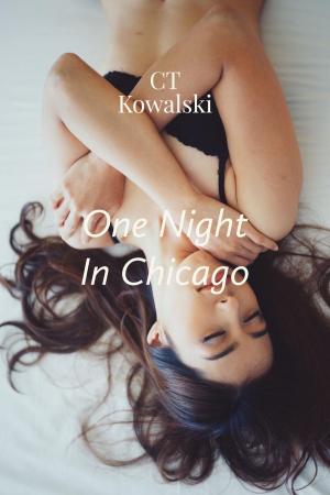 Cover of One Night in Chicago