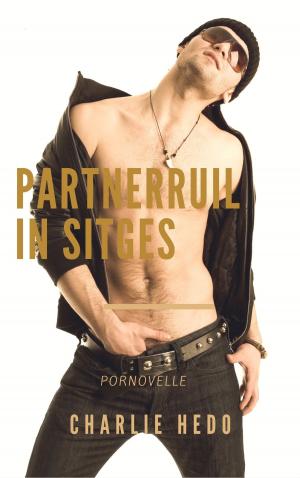 Cover of the book Partnerruil in Sitges by Bronwyn Green