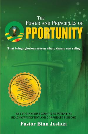 Cover of the book The Power And Principles Of Opportunity by Suzan Tusson-McNeil, PCEAF, CPCC, CHWC