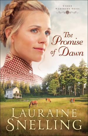 Cover of the book The Promise of Dawn (Under Northern Skies Book #1) by Davis Bunn
