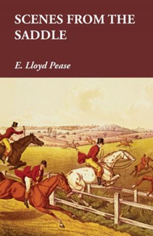 Book cover of Scenes from the Saddle