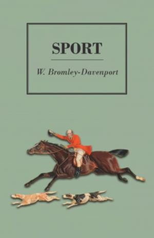 Cover of the book Sport by David Low
