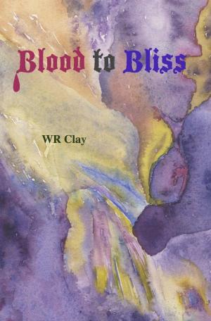Cover of the book Blood to Bliss by Merlin Gideon Gray