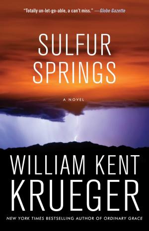 Cover of the book Sulfur Springs by Edward Lewis