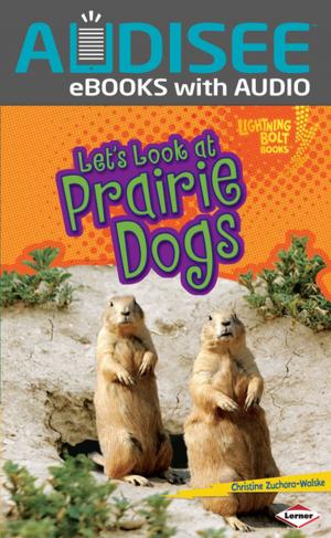 Cover of the book Let's Look at Prairie Dogs by Patrick G. Cain