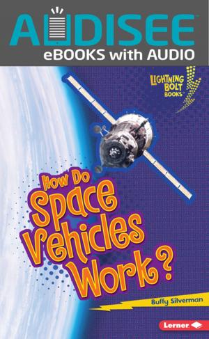 Cover of the book How Do Space Vehicles Work? by Judy Goldman