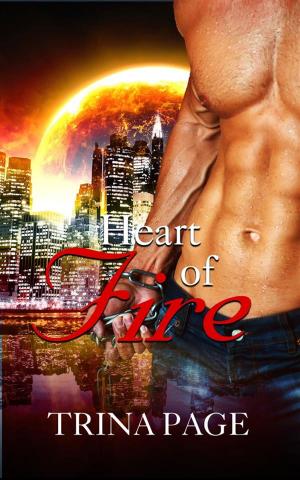 Cover of First Meeting: Heart of Fire Book 1 (Shifter Romance)