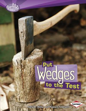 Cover of the book Put Wedges to the Test by Deborah Kops