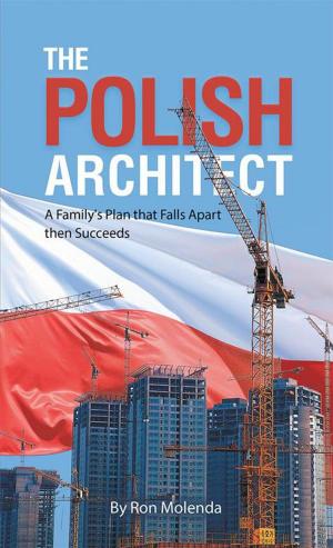 Cover of the book The Polish Architect by J.J. Fox