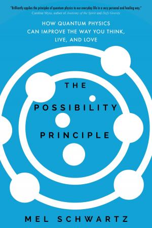 Cover of the book The Possibility Principle by Edward Espe Brown, Danny S. Parker