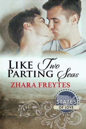 Cover of the book Like Two Parting Seas by Brita Addams