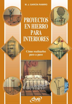 Cover of the book Proyectos en hierro para interiores by Nathalie Anne Dodd