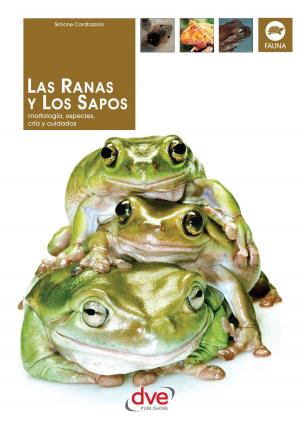 Cover of the book Las Ranas y los Sapos by Magali Martija-Ochoa