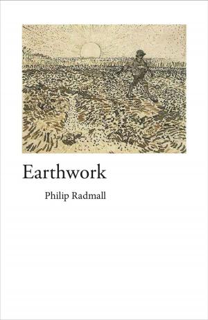 Cover of the book Earthwork by Edna Taylor