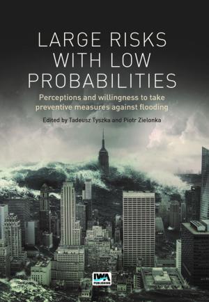 Cover of the book Large Risks with Low Probabilities: Perceptions and willingness to take preventive measures against flooding by Christopher Jordan